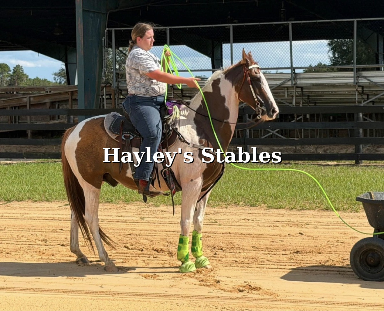 Chestnut horse previously sold by Hayley Stables