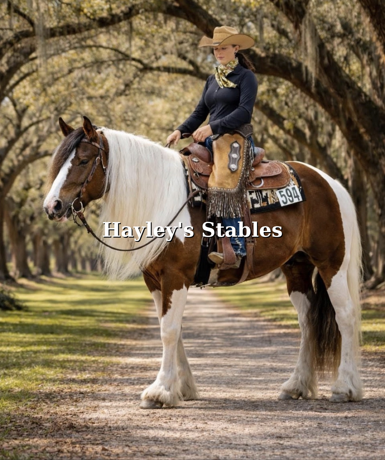 Horse previously sold by Hayley Stables posed with a rider