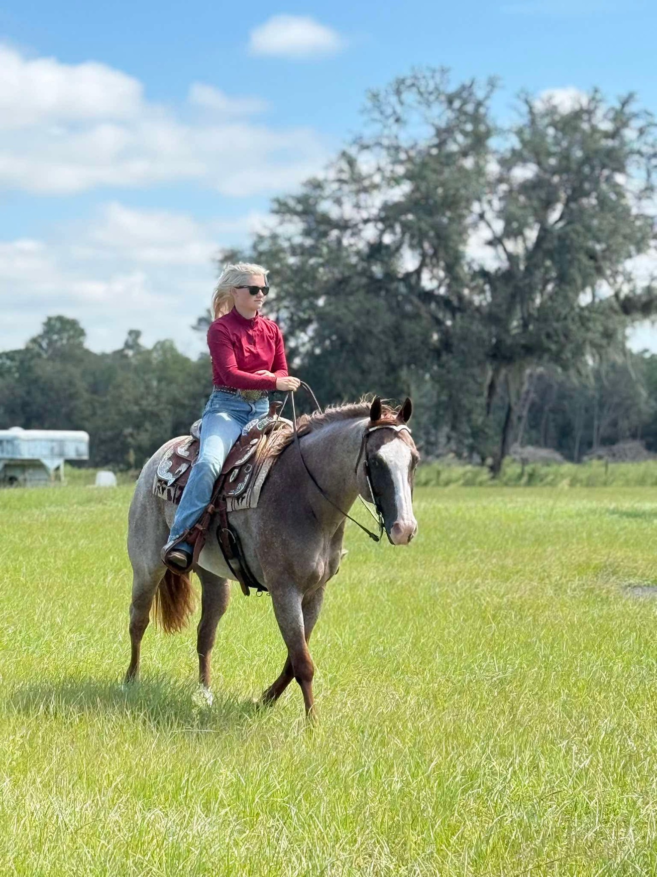 Hayley riding Struttin Cowboy in the pasture with a small dog behind the saddle