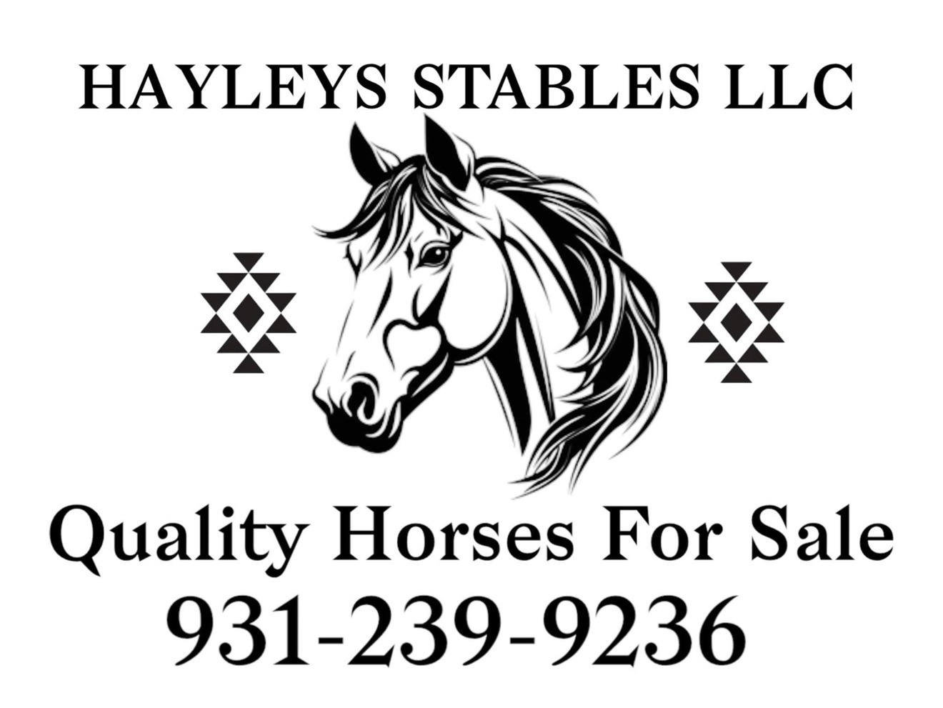 Hayley Stables LLC — Quality Horses For Sale