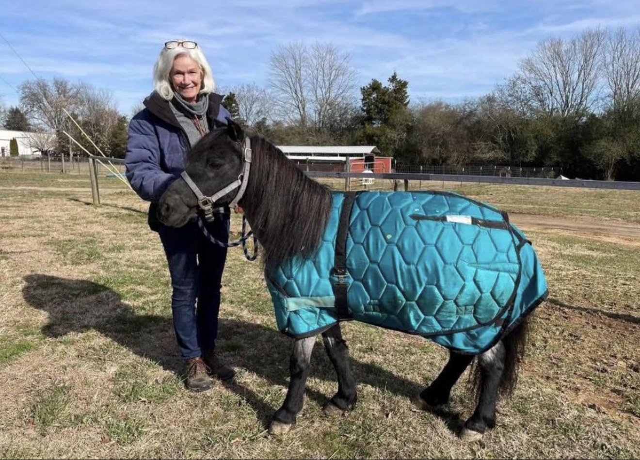 A Hayley Stables customer riding a purchased horse outdoors