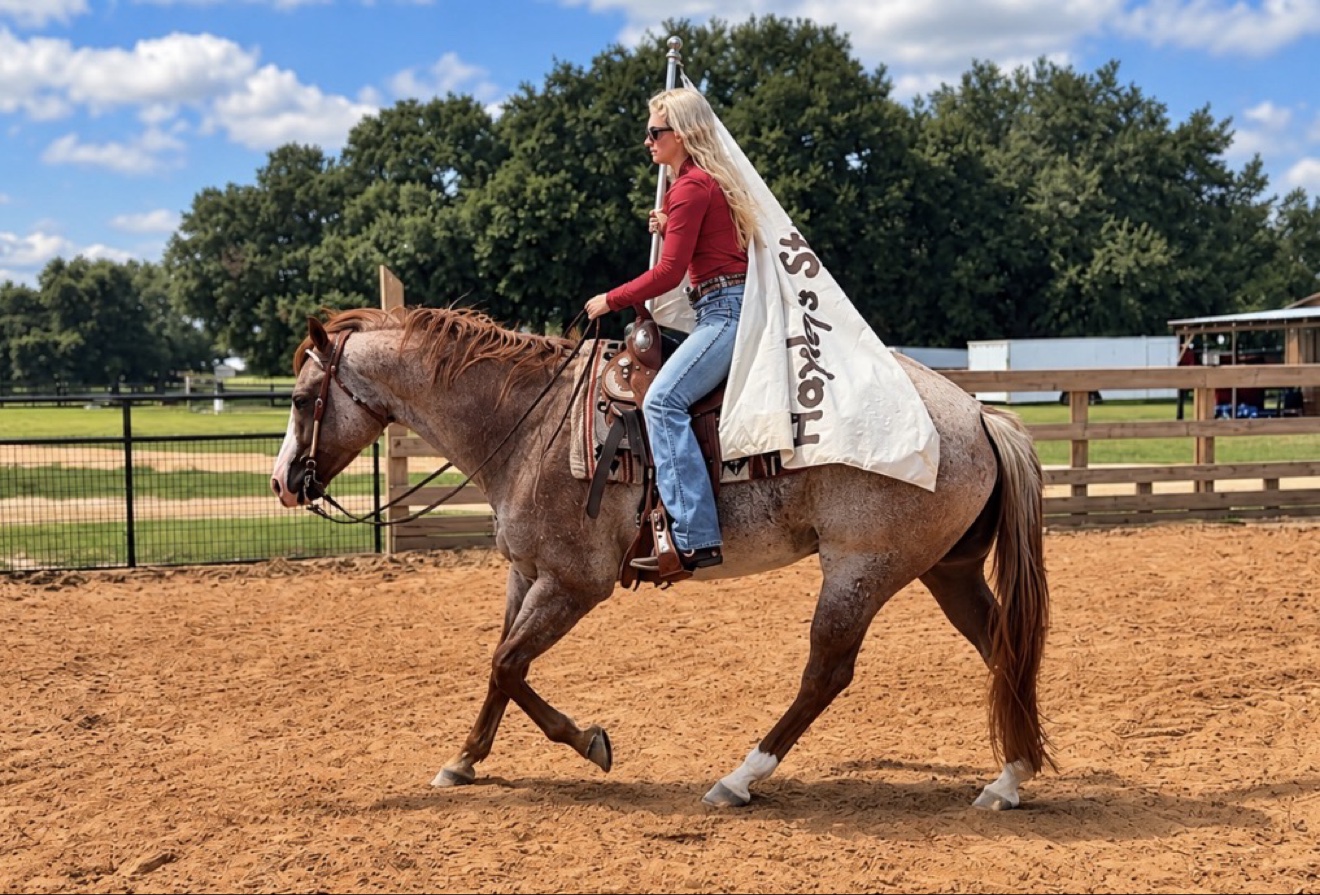 Hayley riding Struttin Cowboy while carrying a Hayley Stables flag