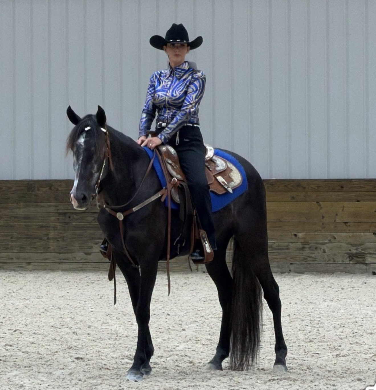 A Hayley Stables customer riding her purchased horse