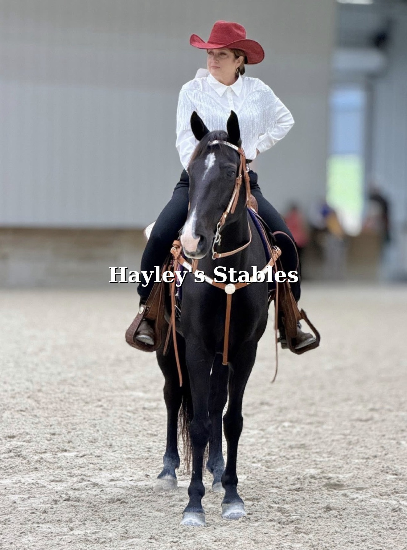 Horse and rider from a sale by Hayley Stables
