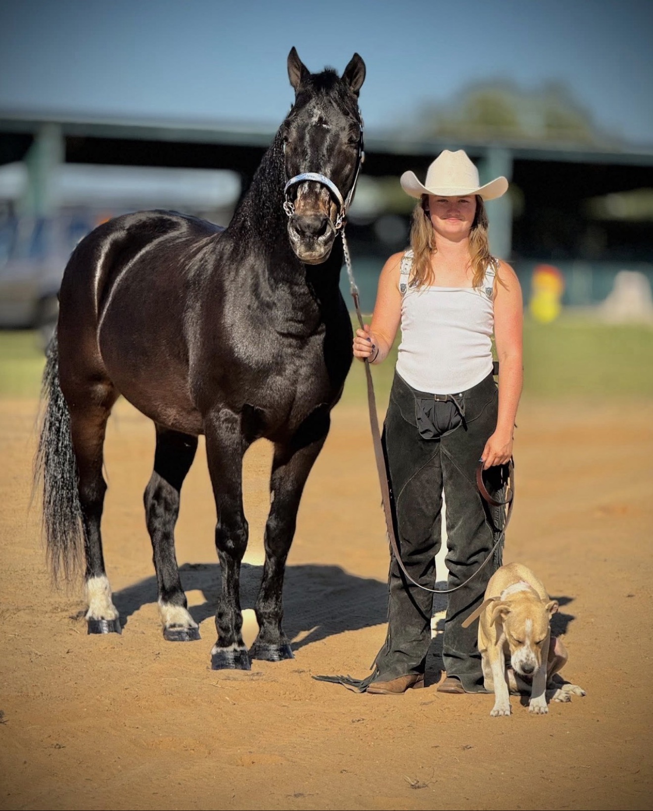 Horse and rider being evaluated in an indoor arena