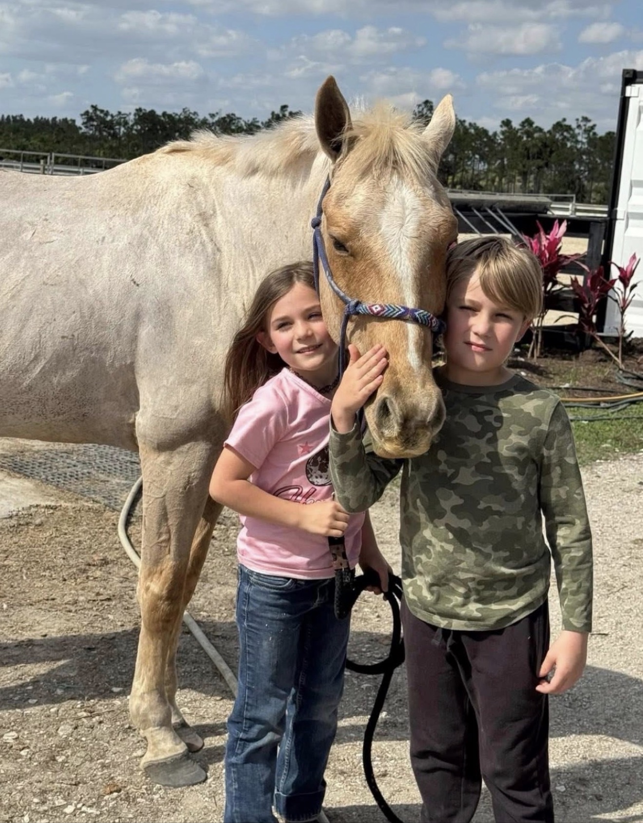 Hayley Stables customers and their purchased horses