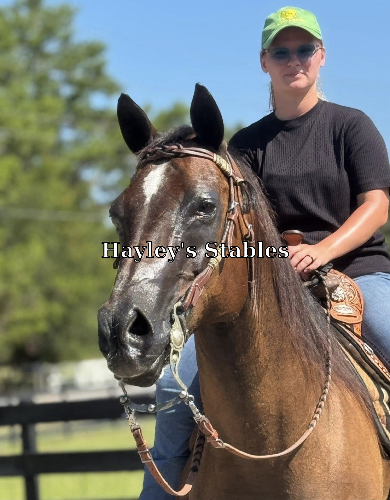 Horse previously sold by Hayley Stables